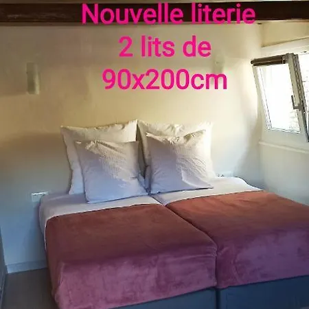 Du Marche D'elsa *