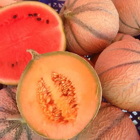 Du Marche D'elsa Dom wakacyjny