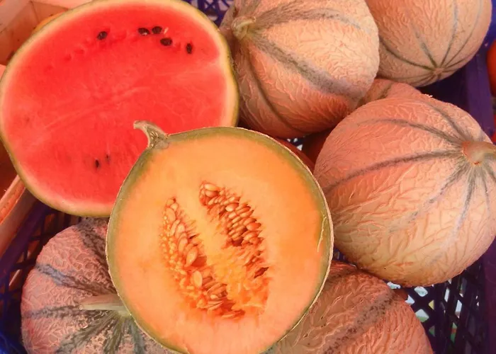 Du Marche D'elsa Holiday home